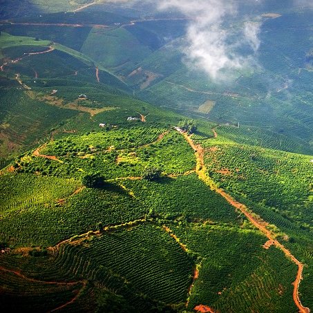 产值超9600亿元！地理标志让“土特产”变致富“金名片”（新华社）